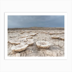 Salt In The Desert Art Print