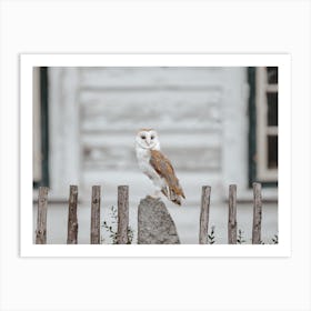 Farmhouse Barn Owl Art Print