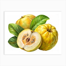 A Group Of Quinces With Leaves, Including One Cut In Half To Show Its Seeds Art Print