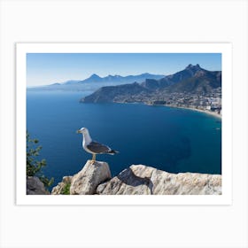 Seagull on a rock overlooking the Mediterranean Sea 1 Art Print