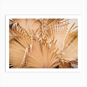 Dried Palms Art Print