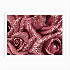 Pink Roses 8 Art Print