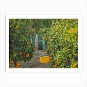 Oranges In The Orchard Art Print