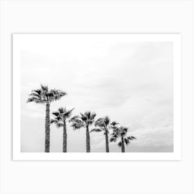 Black And White Palm Trees In A Row On The Beach Art Print