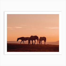 Three Horse Sunset Art Print