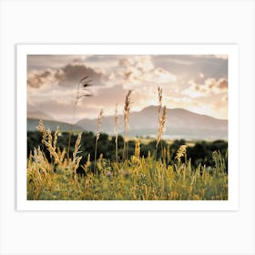 Warm Nature Sunset Art Print