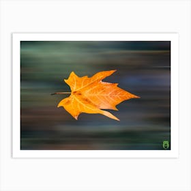 Speed Leaf 20231021114296pub Art Print