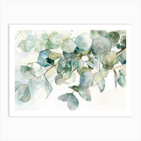 Eucalyptus 3 Art Print