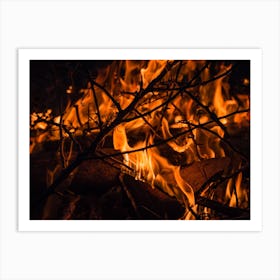 Close Up Of A Fire With Twigs Art Print