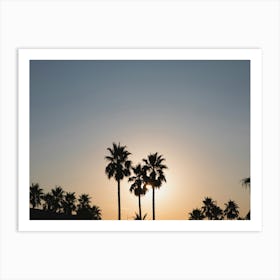 Silhouette Of Palm Trees At Sunset Art Print