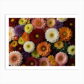 Dahlias 1 Art Print