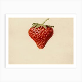 Strawberry - Strawberry Stock Videos & Royalty-Free Footage Art Print