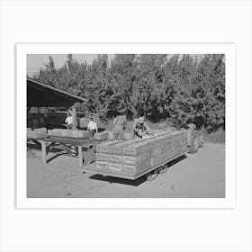 Pears Arriving From Orchard At Packing Plant, Hood River, Oregon By Russell Lee Art Print