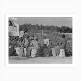 Untitled Photo, Possibly Related To String Bean Pickers Waiting Along Highway For Trucks To Pick Them Up, Ne Art Print