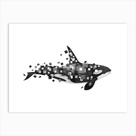 Fractured Killer Whale Art Print