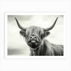 Highland Cow Black and White Art Print