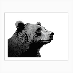 Black & White Grizzly Bear Portrait Art Print