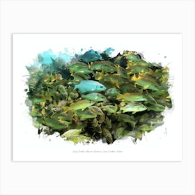 Caye Caulker Marine Reserve, Caye Caulker, Belize Art Print