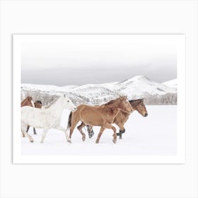 Horses In Snow Art Print
