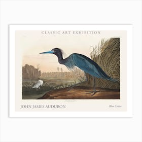 Blue Crane Poster Art Print