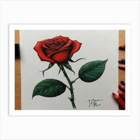 Red Rose 12 Art Print