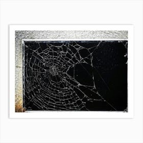 Art Grey Decor Design Halloween Horizontal Grunge Skittish Dark Spiders Web Net Silhouet (32) Art Print