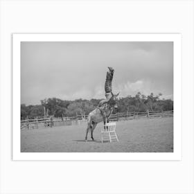 Clown Rider At Rodeo At Quemado, New Mexico By Russell Lee Art Print