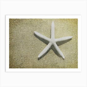 Starfish On The Beach Art Print