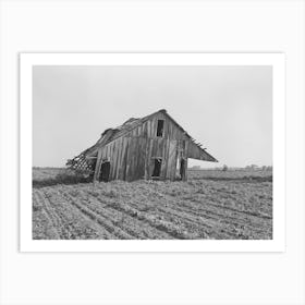 Abandoned Tenant Farmhouse In Field Of Cotton In Wagoner County, Oklahoma By Russell Lee Art Print