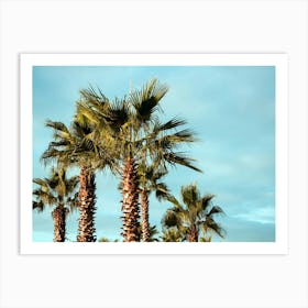 Palm Trees Art Print