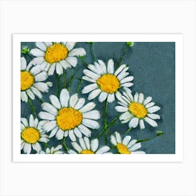 Daisies 1 Art Print