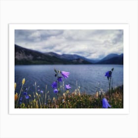 Ennerdale Water Art Print