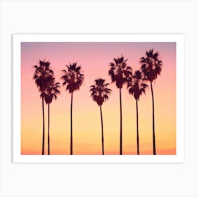 California Dreaming - Malibu Sunset's Palm Trees Art Print