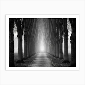 Path Through The Trees Art Print