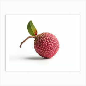 Lychee Fruit 10 Art Print