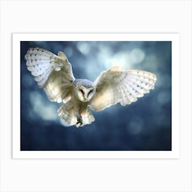 Barn Owl In Flight 1 Art Print