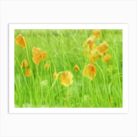 Field Of Poppies in the summertime Art Print