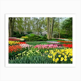 Tulip Garden 1 Art Print