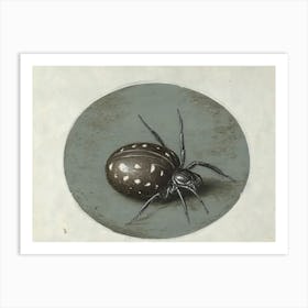 Black Spider 1 Art Print