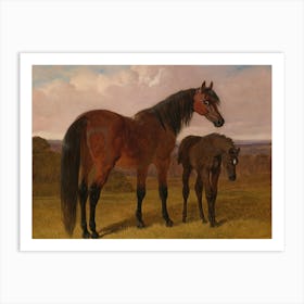 Horse And Foal Art Print