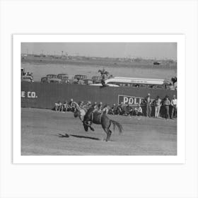 Cowboy Being Thrown From Bucking Horse During The Rodeo Of The San Angelo Fat Stock Show, San Angelo Art Print