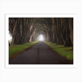 Road Through the Tree Tunnel Art Print
