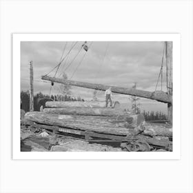 Long Bell Lumber Company, Cowlitz County, Washington, Fir Logs Loaded On Railroad Flatcar For Removal From Woods Art Print