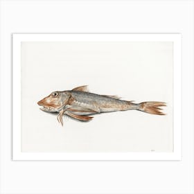 Fish 4, Jean Bernard Art Print