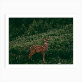 Baby Deer Art Print