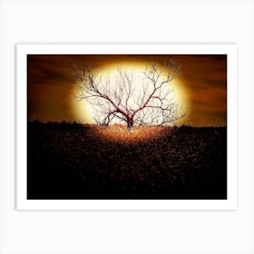 Full moon tree Art Print