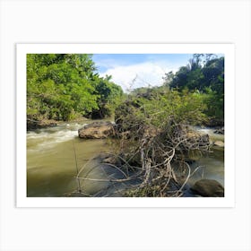 River In The Jungle 2 Art Print