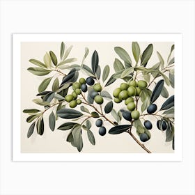 Olive Branch 1 Art Print