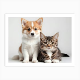 Dog And Cat 10 Art Print