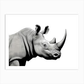 Rhino Portrait Art Print